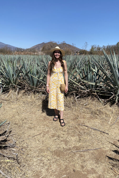 5 Fun Things to do in the City of Tequila