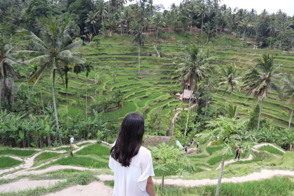 bali